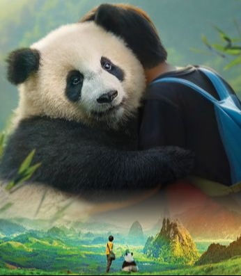 יאן ודֹב הפּנדה