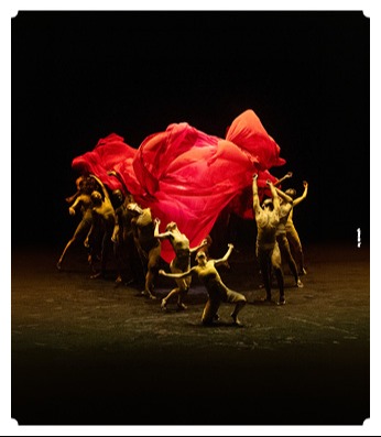BOLERO X by Shachar Benyamini