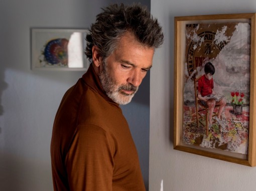 כאב ותהילה - טריילר אתר סרט