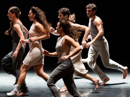 תמונת הפוסטר