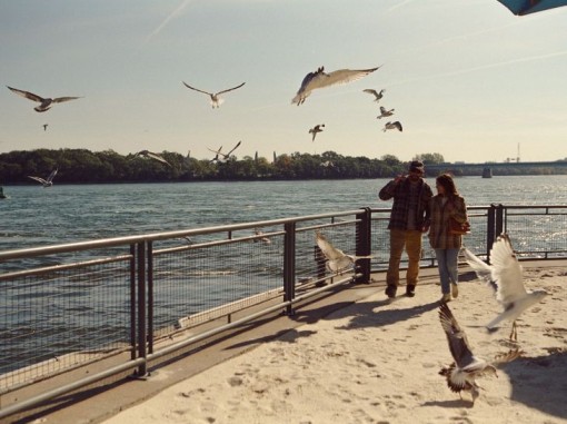 זוג ליד הנהר ושחפים