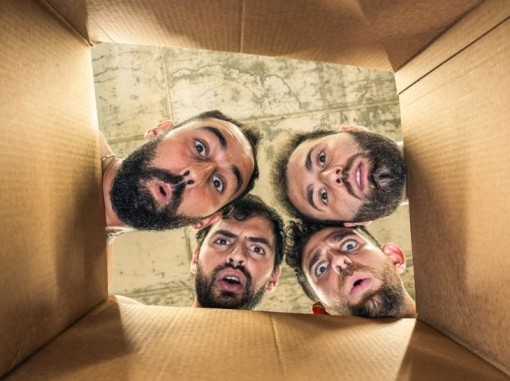 ארבעה ראשים מציצים לתוך קופסת קרטון