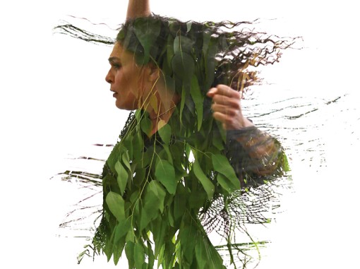 רקדנית פלמנקו