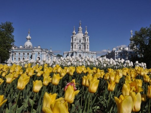 נוף העיר סנט פטרסבורג