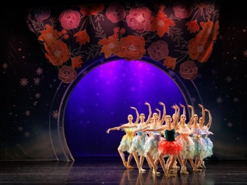 רקדניות על הבמה