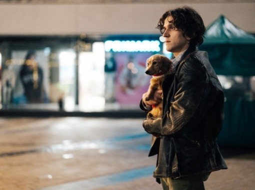 צעיר אוחז בגור כלבים