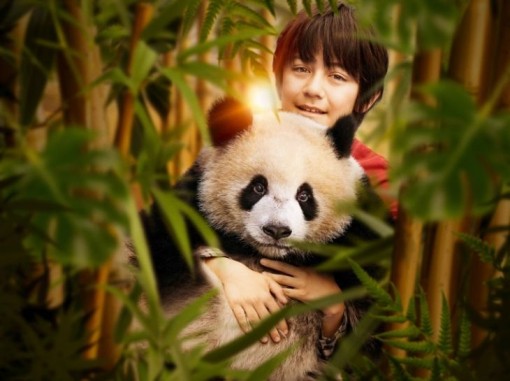 יאן ודֹב הפּנדה מחובקים