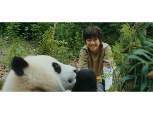 יאן מאכיל את הדב