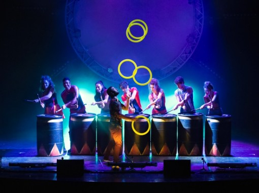 קרקס מיומנה לילדים (ביקורות)