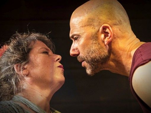 התיאטרון הקאמרי - סוס אחד נכנס לבר