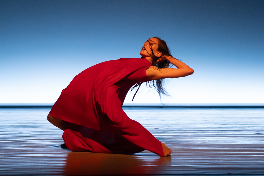 צילום: אפרת מזור